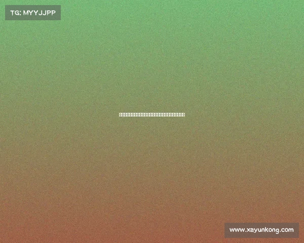 门兴格拉德巴赫：德甲新兴力量崛起背后的故事与未来展望